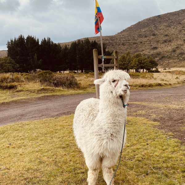 FullSizeRender (2) FullSizeRender (2)