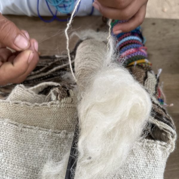 IMG_3602(1) IMG_3602(1)