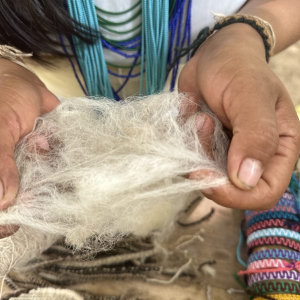 IMG_3603(1) IMG_3603(1)