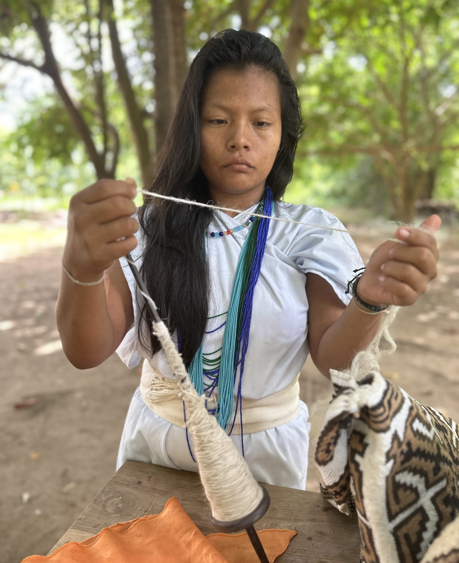 SIERRA NEVADA, Sacred Threads