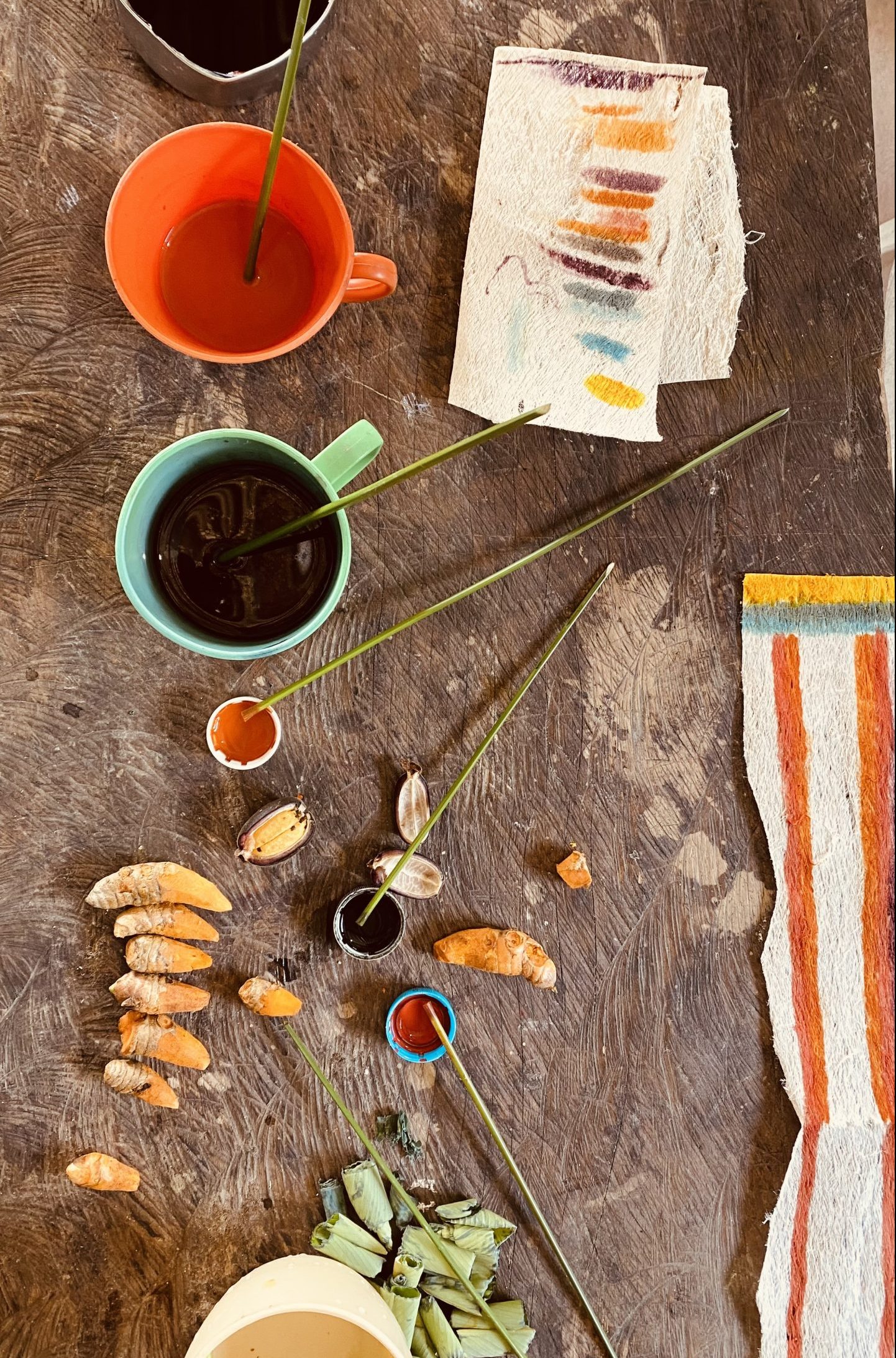 AMAZON, Color Selva: The Jungle Lives Within Us