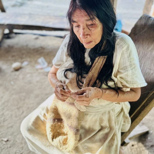 a6c9e240-7571-4d13-bda4-f3567a287437 a6c9e240-7571-4d13-bda4-f3567a287437